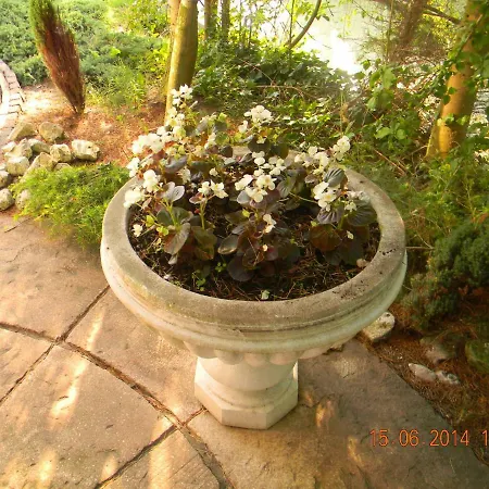 ベッド・アンド・ブレックファスト Njoy-uithof