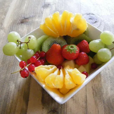 Bed & Breakfast Njoy-uithof The Hague